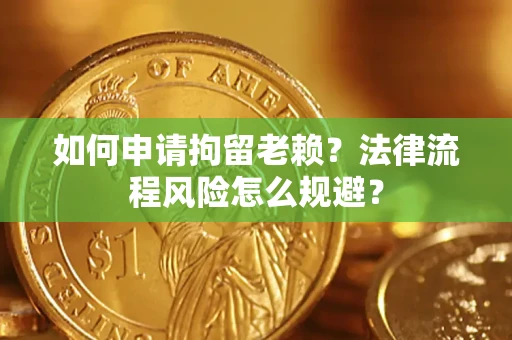 武汉如何申请拘留老赖？法律流程风险怎么规避？