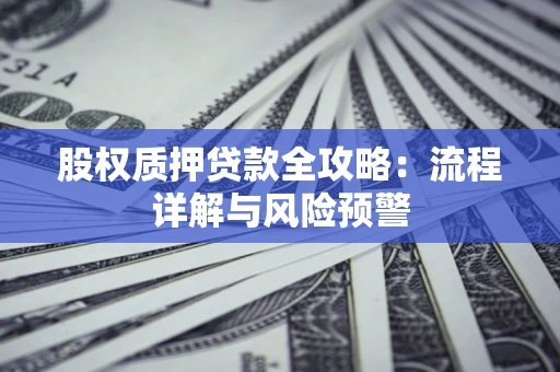 武汉股权质押贷款全攻略：流程详解与风险预警