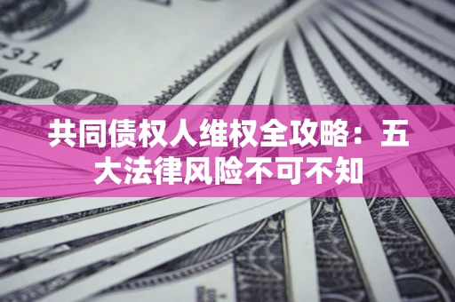 武汉共同债权人维权全攻略：五大法律风险不可不知