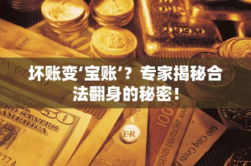 武汉坏账变‘宝账’？专家揭秘合法翻身的秘密！