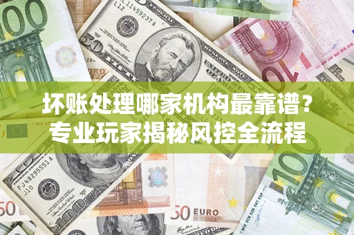 武汉坏账处理哪家机构最靠谱？专业玩家揭秘风控全流程