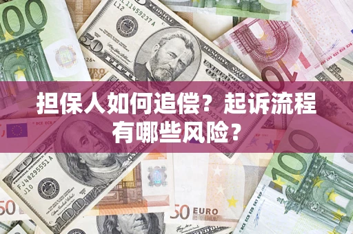 武汉担保人如何追偿？起诉流程有哪些风险？