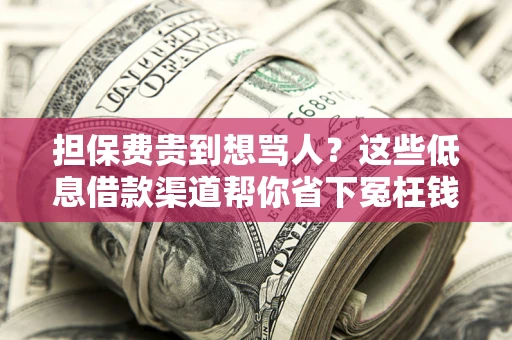 武汉担保费贵到想骂人？这些低息借款渠道帮你省下冤枉钱