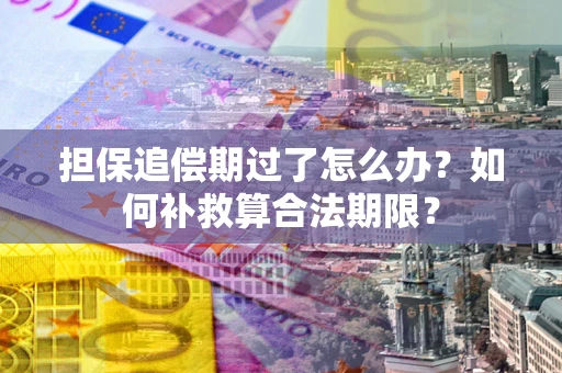 武汉担保追偿期过了怎么办？如何补救算合法期限？