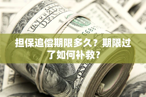 武汉担保追偿期限多久？期限过了如何补救？
