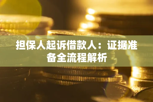 武汉担保人起诉借款人：证据准备全流程解析