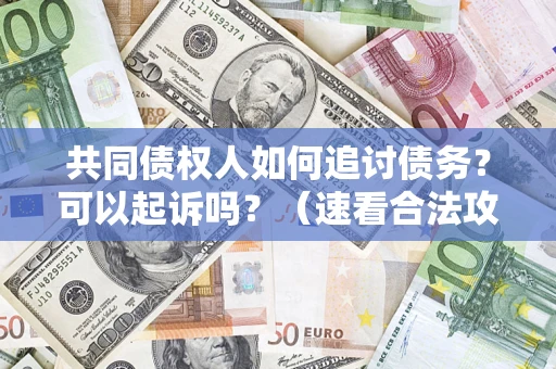 武汉共同债权人如何追讨债务？可以起诉吗？（速看合法攻略）