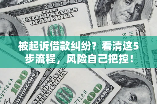 武汉被起诉借款纠纷？看清这5步流程，风险自己把控！