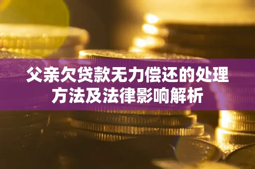 武汉父亲欠贷款无力偿还的处理方法及法律影响解析