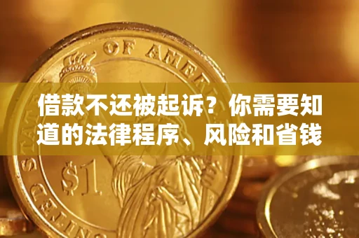 武汉借款不还被起诉？你需要知道的法律程序、风险和省钱技巧