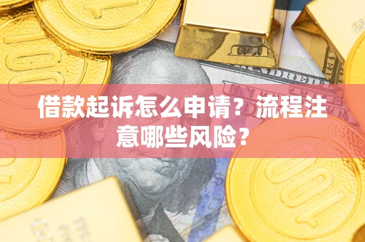 武汉借款起诉怎么申请？流程注意哪些风险？