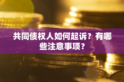 武汉共同债权人如何起诉？有哪些注意事项？